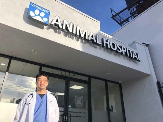 animal hospital vermont
