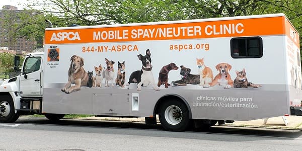 aspca spay clinica los angeles