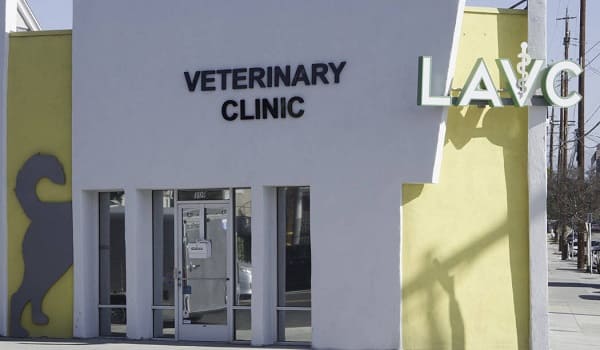 los angeles veterinary center