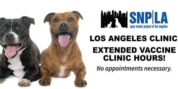 spay neuter project la