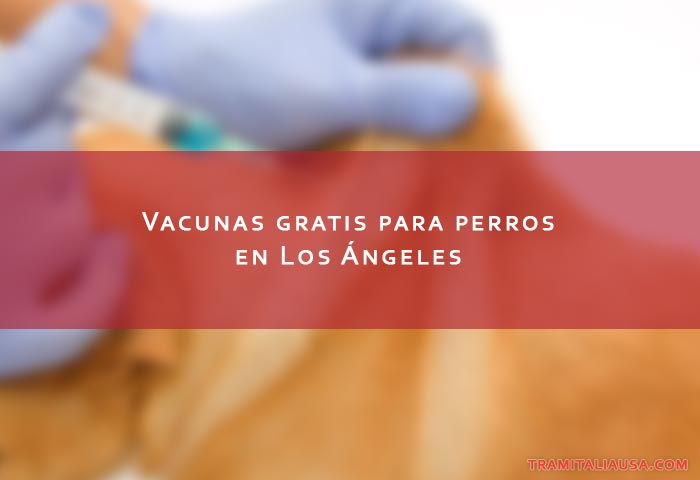 Vacunas gratis para perros en Los Ángeles